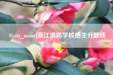 乐山浙江消防学校招生分数线