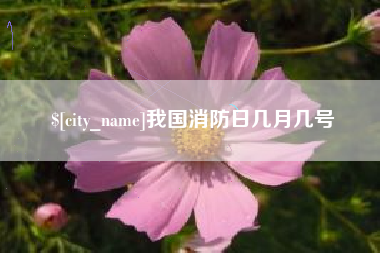 乐山我国消防日几月几号