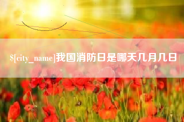 乐山我国消防日是哪天几月几日