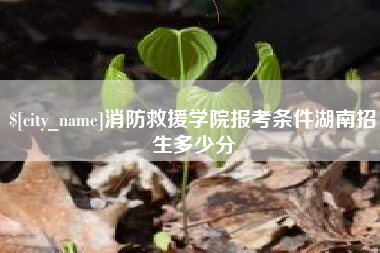 乐山消防救援学院报考条件湖南招生多少分