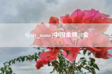 乐山中国金牌18金