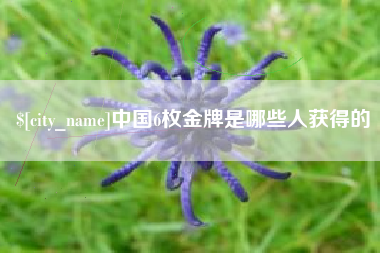 乐山中国6枚金牌是哪些人获得的