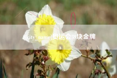 乐山奥运会39块金牌