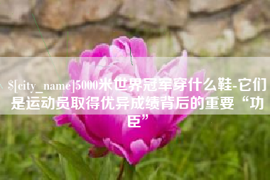 乐山5000米世界冠军穿什么鞋-它们是运动员取得优异成绩背后的重要“功臣”