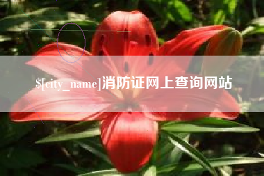 乐山消防证网上查询网站