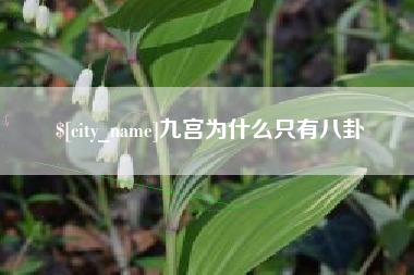 乐山九宫为什么只有八卦