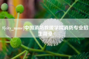 乐山中国消防救援学院消防专业招生简章