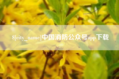 乐山中国消防公众号app下载