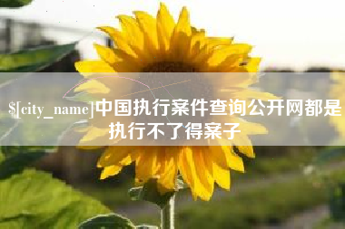 乐山中国执行案件查询公开网都是执行不了得案子
