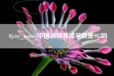 乐山中国消防救援学院是985吗