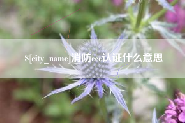 乐山消防ccc认证什么意思