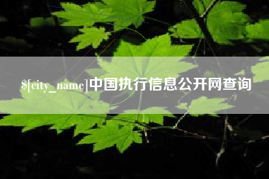 乐山中国执行信息公开网查询