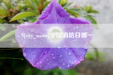 乐山全国消防日哪一