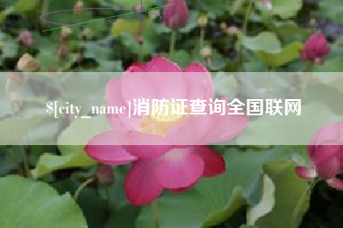 乐山消防证查询全国联网
