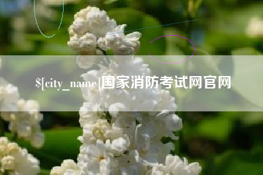 乐山国家消防考试网官网