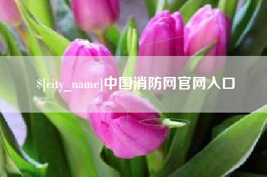 乐山中国消防网官网入口