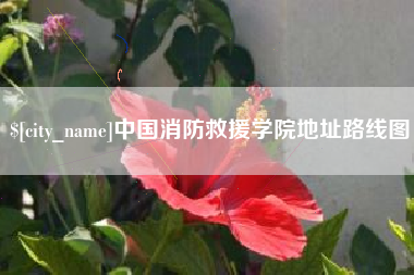 乐山中国消防救援学院地址路线图