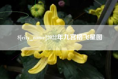 乐山2022年九宫格飞星图