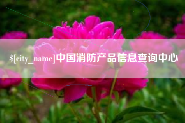 乐山中国消防产品信息查询中心
