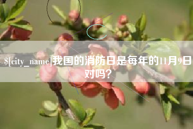 乐山我国的消防日是每年的11月9日对吗？