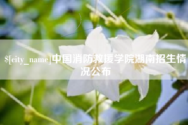 乐山中国消防救援学院湖南招生情况公布