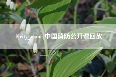 乐山中国消防公开课回放