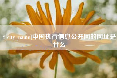 乐山中国执行信息公开网的网址是什么