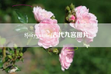 乐山古代九宫图片