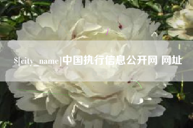 乐山中国执行信息公开网 网址