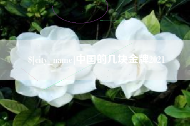 乐山中国的几块金牌2021