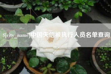 乐山中国失信被执行人员名单查询