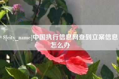 乐山中国执行信息网查到立案信息怎么办