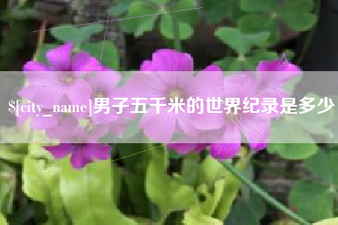 乐山男子五千米的世界纪录是多少