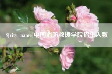乐山中国消防救援学院招生人数