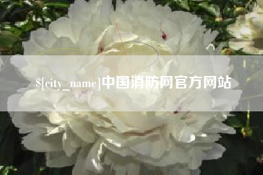 乐山中国消防网官方网站