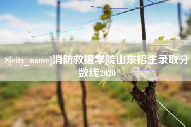 乐山消防救援学院山东招生录取分数线2020