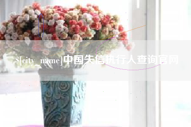 乐山中国失信执行人查询官网