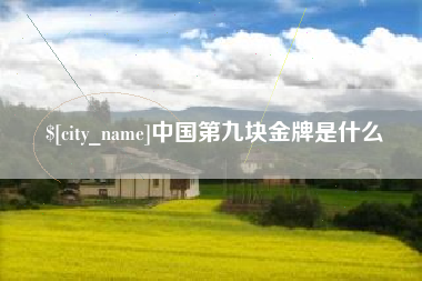 乐山中国第九块金牌是什么