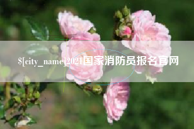 乐山2021国家消防员报名官网