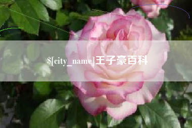 乐山王子豪百科