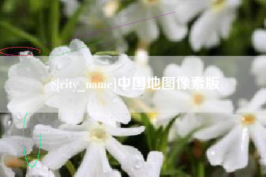 乐山中国地图像素版