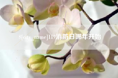乐山119消防日哪年开始