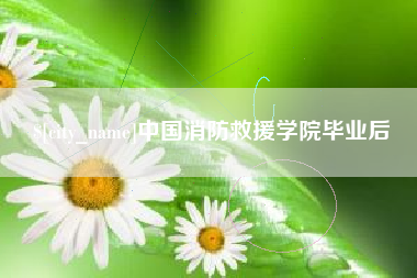 乐山中国消防救援学院毕业后