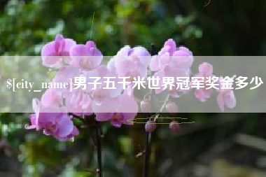 乐山男子五千米世界冠军奖金多少
