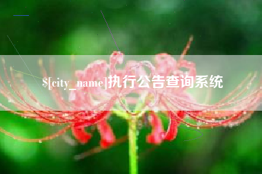 乐山执行公告查询系统
