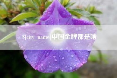 乐山中国金牌都是啥