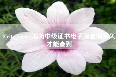 乐山消防中级证书电子版查询多久才能查到