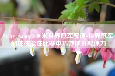 乐山5000米世界冠军配速-世界冠军们往往能在比赛中巧妙地分配体力