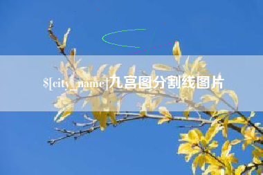 乐山九宫图分割线图片