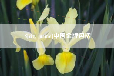 乐山中国金牌包括
